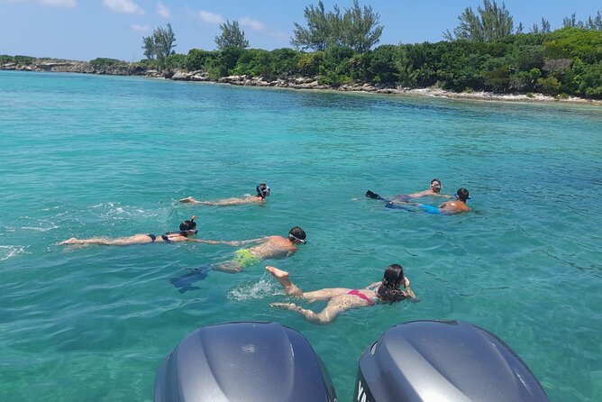 Nassau, Private Swimming Pig, Island Hopping, Snorkeling, Turtles - Price and Value: $799 for Up to 8, Plus One Optional Add-On