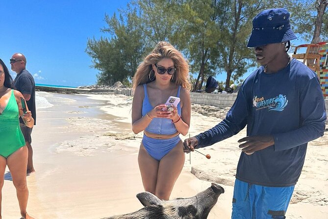 Nassau, Private Swimming Pig, Island Hopping, Snorkeling, Turtles - Weather, Timing, and When to Choose a Private Boat Day