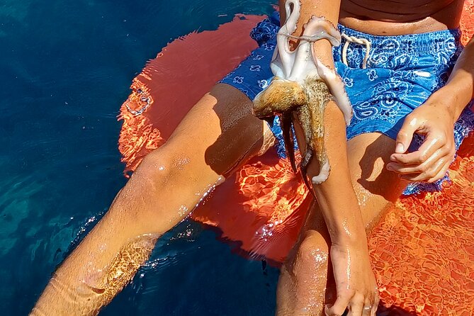 Naxos private fishing trips, lunch on board & island hopping - Who this trip suits best (and who should think twice)