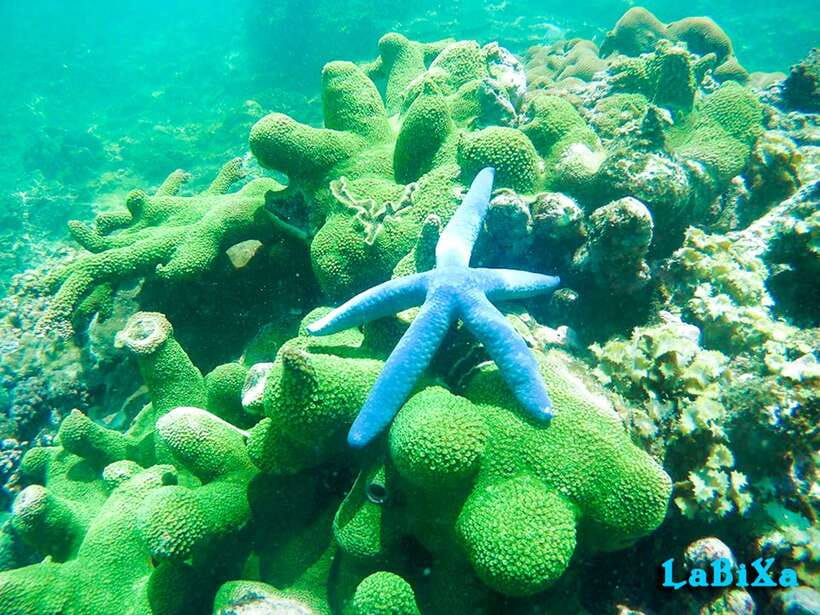 Nha Trang: Island Hopping Boat Tour with Snorkeling & Lunch - What to bring and how to plan your day