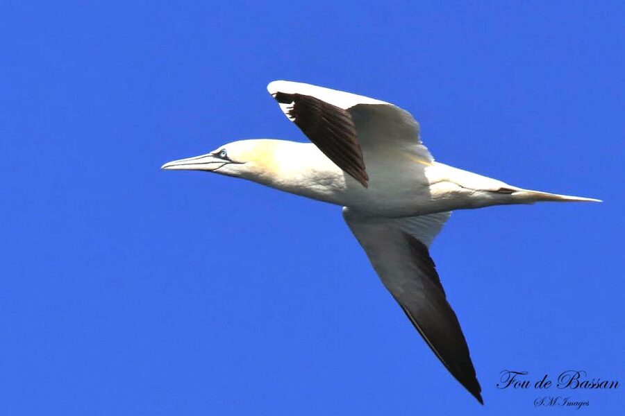 Olhão: 3 Islands Guided Sightseeing Tour with Lunch - The guide makes or breaks the day
