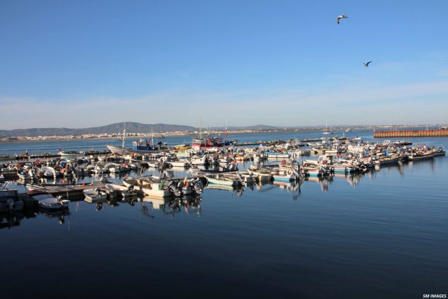 Olhão: 3 Islands Guided Sightseeing Tour with Lunch - Stop on Armona Island: 45 minutes for photos and an island walk