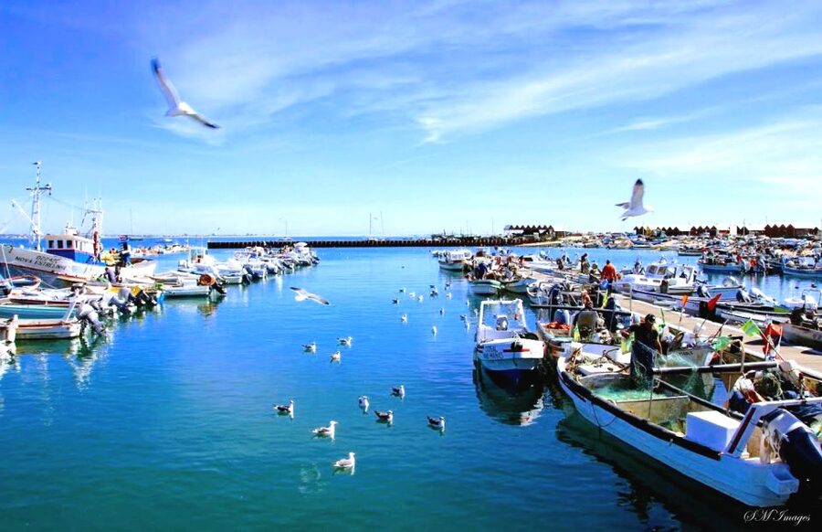 Olhão: Ria Formosa 3 Islands Guided Day Trip by Boat - Armona Island: the sandbank moment and why it’s worth the jump