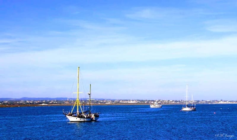Olhão: Ria Formosa 3 Islands Guided Day Trip by Boat - Ilha do Farol: lighthouse views and a good reset for your eyes