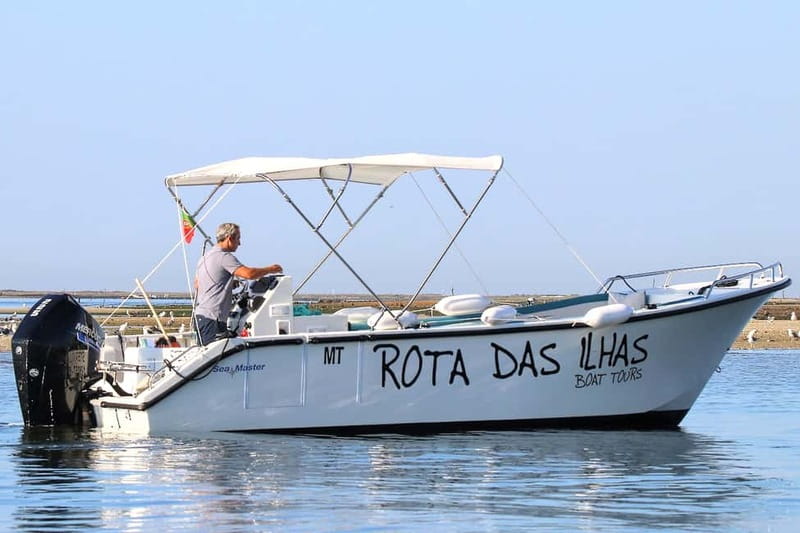 Olhão: Ria Formosa 3 Islands Guided Day Trip by Boat - Birds and marine animals: how the guide helps you actually see them