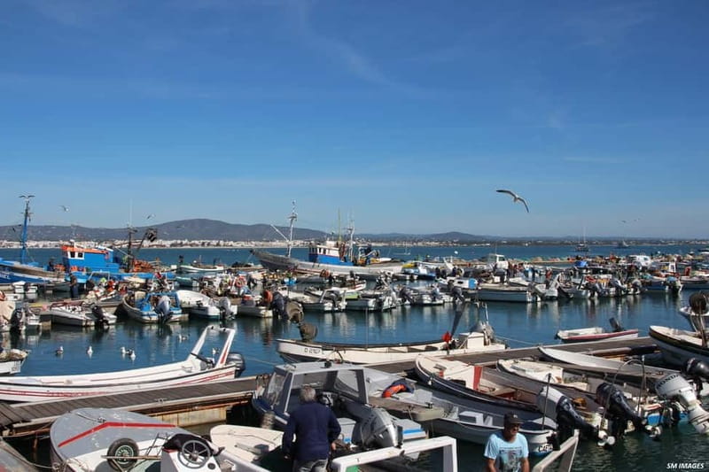 Olhão: Ria Formosa 3 Islands Guided Day Trip by Boat - Sunset over the lagoon: how to time it (and not get disappointed)