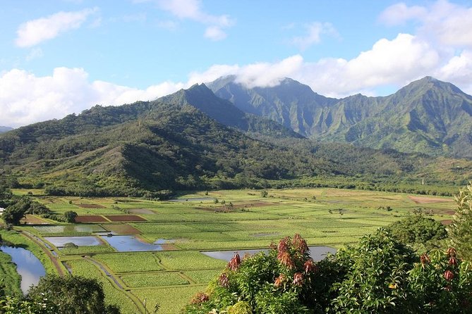 One-Day Tour Hawaii Movie Tour: Island Hopping from Oahu to Kauai - Getting There Fast: Waikiki Pickup and the Early-Flight Rhythm