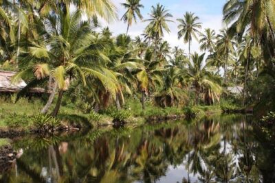 One-Day Tour Hawaii Movie Tour: Island Hopping from Oahu to Kauai - Ahukini State Recreational Pier: Donovan’s Reef and Pagan Love Song