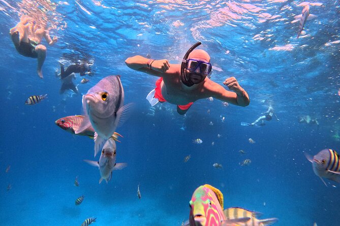 Orange Bay Island Cruise with Breakfast, Lunch and Drinks - Orange Bay Island: 2 hours to switch from boat mode to beach mode