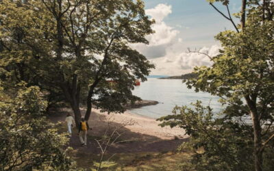 Oslo: Hovedøya and Nakholmen Island Hopping Tour - Nakholmen: cabin culture along the water