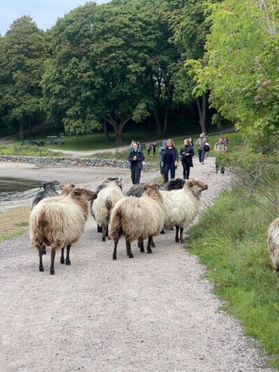 Oslo Island Walks: Island Hopping Tour - Stop 1: Hovedøya for English monks, monastery ruins, and cannons