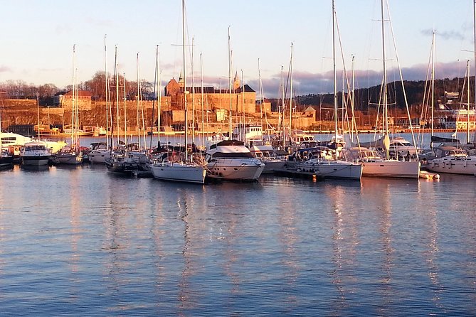 Oslo Nature Walks: Island hopping - Why Oslo Fjord Islands Feel Like a Quick Reset