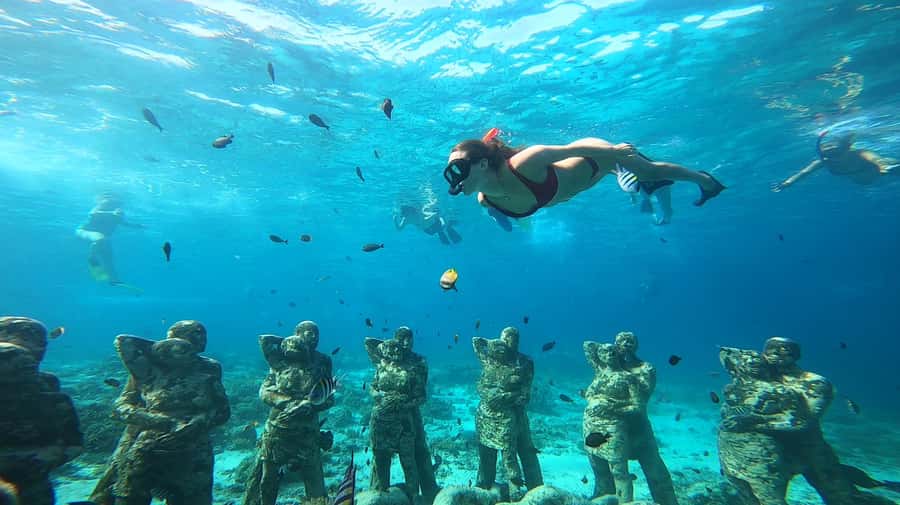 Ozzy Snorkeling 3 Islands Visit Baby Turtles - Turtle Point and baby turtles: how to spot them without stress