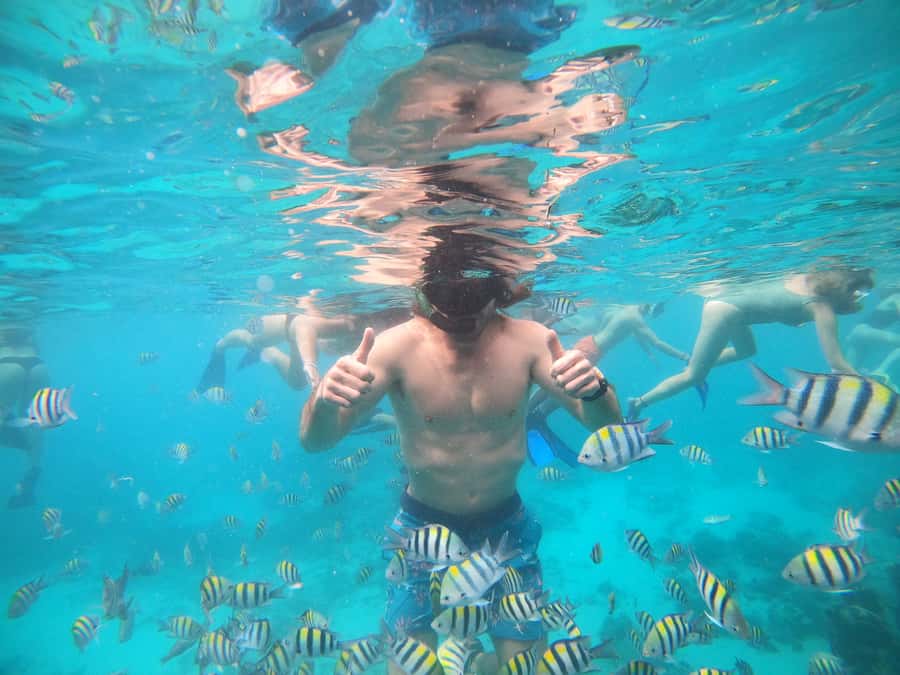 Ozzy Snorkeling 3 Islands Visit Baby Turtles - The glass-bottom boat setup: what “glass” feels like in practice