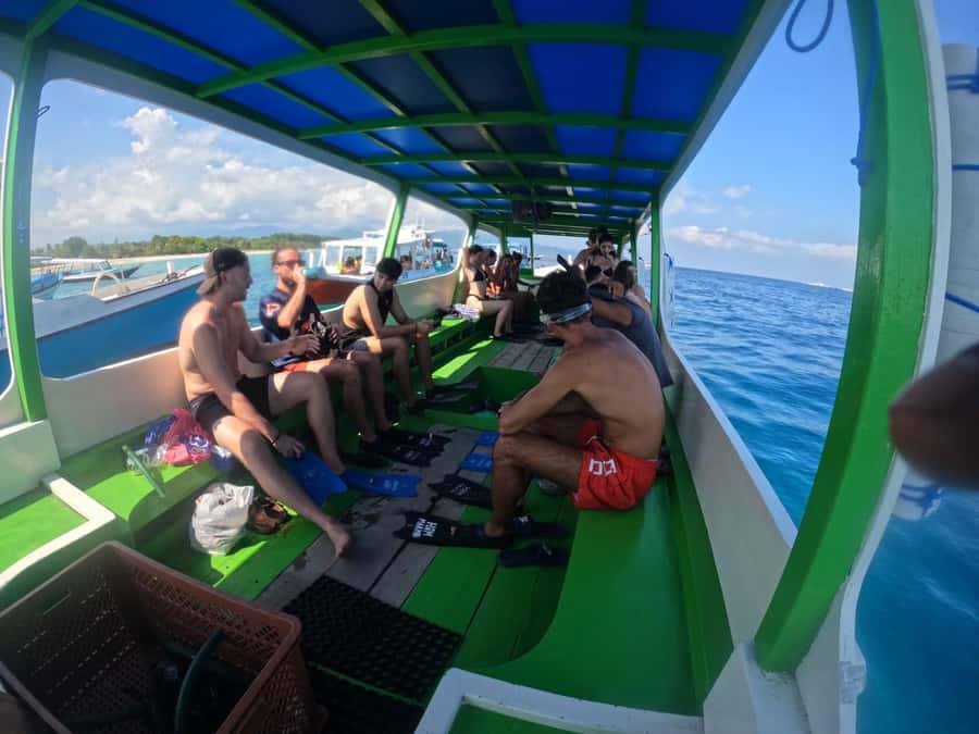 Ozzy Snorkeling 3 Islands Visit Baby Turtles - Who should book this, and who should skip it
