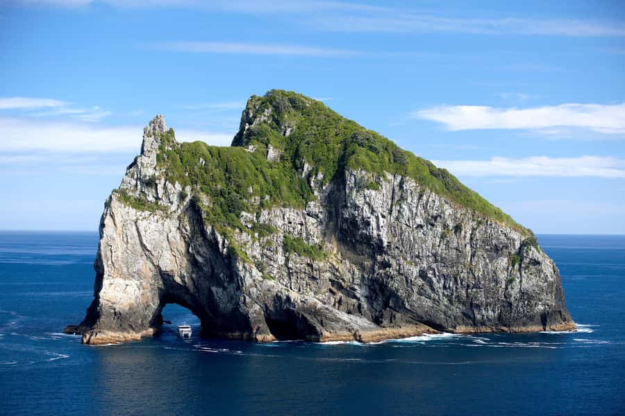 Paihia/Russell: Hole in the Rock, Dolphins & Island Cruise - Why the Bay of Islands Hole in the Rock cruise feels special
