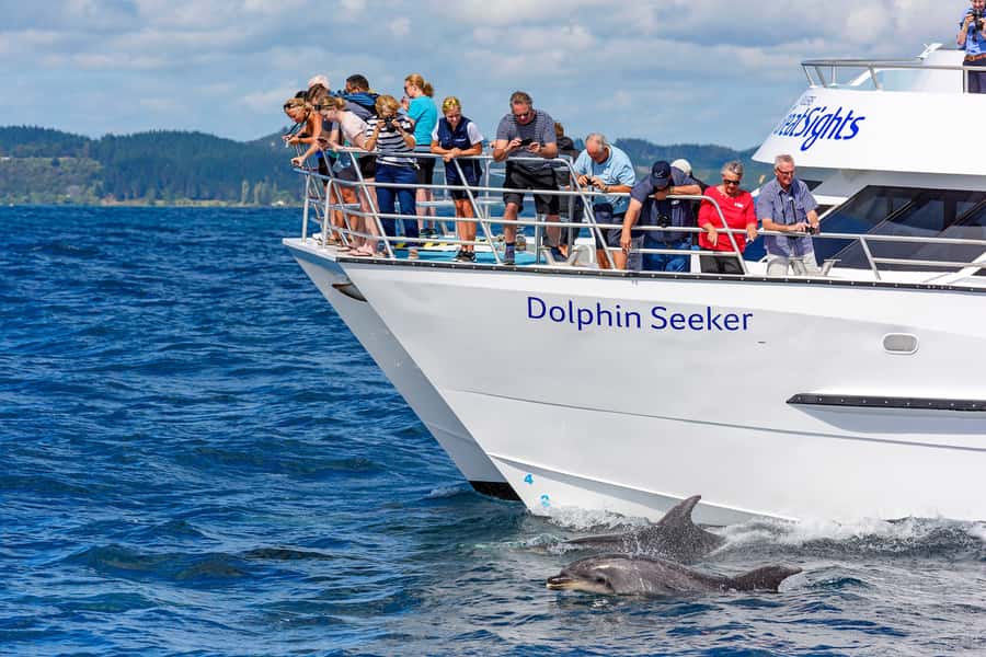 Paihia/Russell: Hole in the Rock, Dolphins & Island Cruise - Sailing among 144 islands: the scenery part you can feel