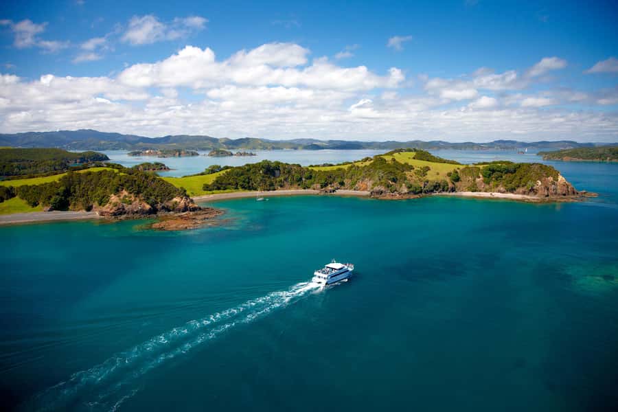 Paihia/Russell: Hole in the Rock, Dolphins & Island Cruise - Marine wildlife spotting: dolphins and whales, with real context