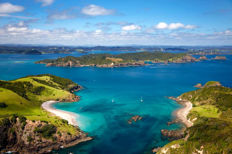 Paihia/Russell: Hole in the Rock, Dolphins & Island Cruise - Food and drinks: plan it like a cafe stop, not a meal