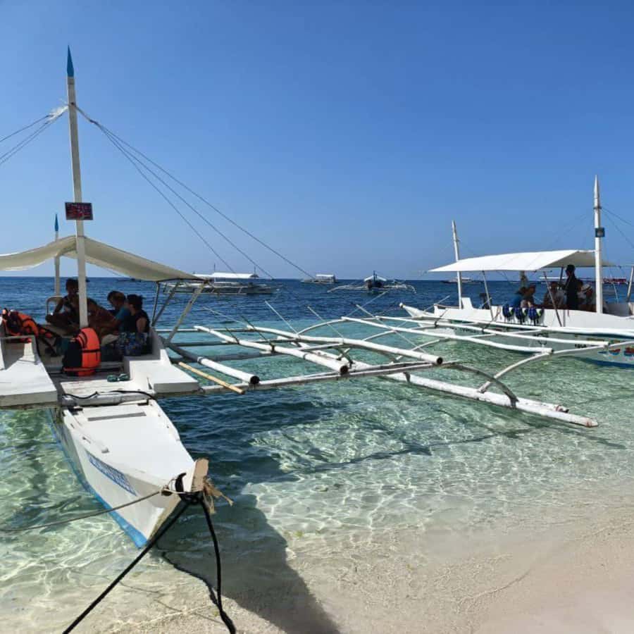Panglao: Island Hopping w/Balicasag (Shared) - Key things I’d clock before you go