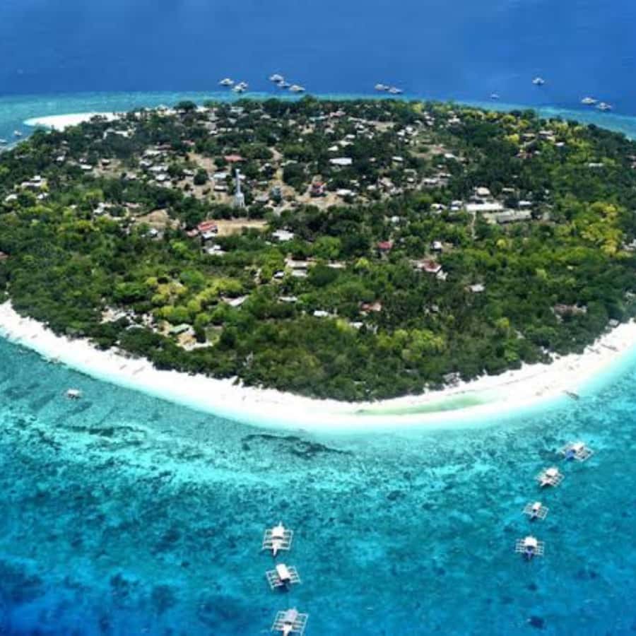 Panglao: Island Hopping w/Balicasag (Shared) - Who this shared tour suits best