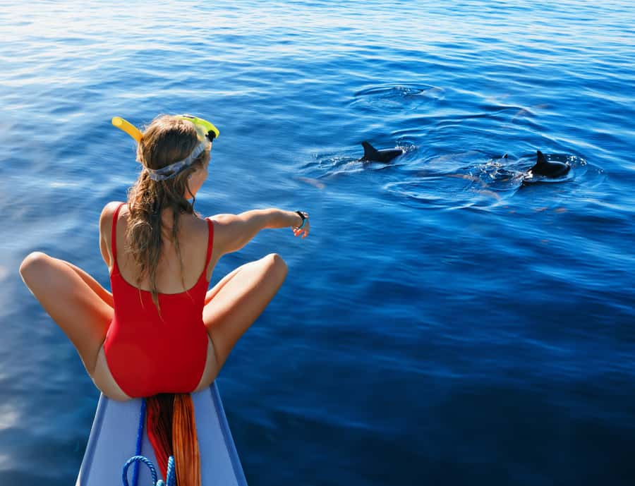 Panglao: Island Hopping w/Balicasag (Shared) - Balicasag Island: snorkeling with coral, fish, and close encounters