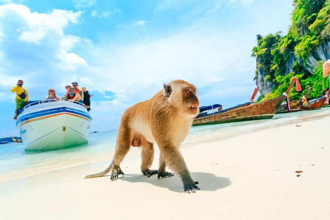 Phi Phi , Khai & Maya : Unforgettable Island Hopping by Speedboat - Crowds, comfort, and avoiding upsell surprises