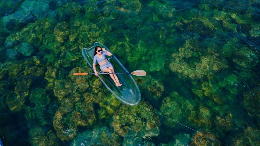 Phu Quoc: Explore 3 Islands & Parasailing and Jetski Combo - Coral park: 250 species, two ways to see them