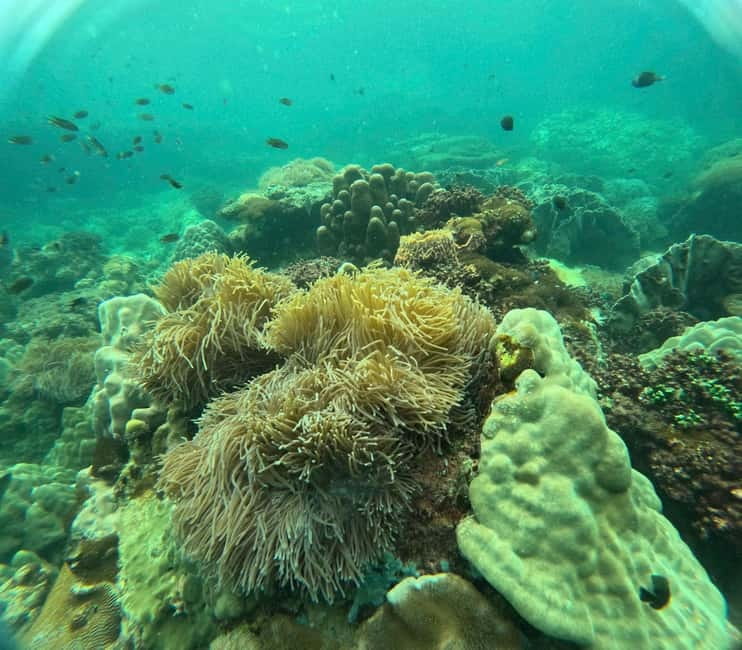 Phu Quoc: Snorkeling and Island Hopping by Speedboat & Lunch - Speedboat Snorkeling That Actually Saves Your Day