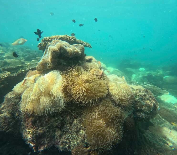 Phu Quoc: Snorkeling and Island Hopping by Speedboat & Lunch - May Rut Ngoai Island: Beach Time With Flycam Photos