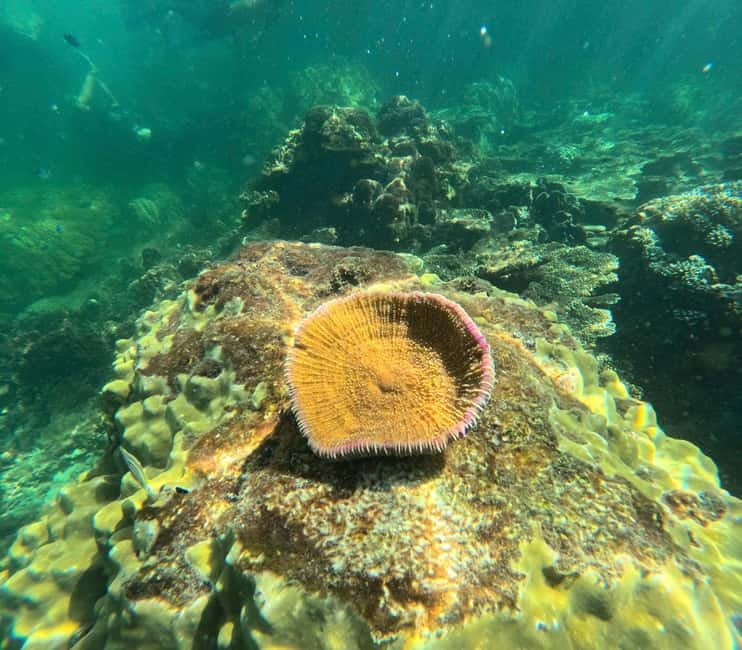 Phu Quoc: Snorkeling and Island Hopping by Speedboat & Lunch - Equipment, Photos, and the “Included Extras” You’ll Actually Use