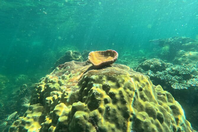 Phu Quoc: Snorkeling and Island Hopping By Speedboat with Lunch - The full-day timeline: 8:30 to about 17:00 without feeling rushed