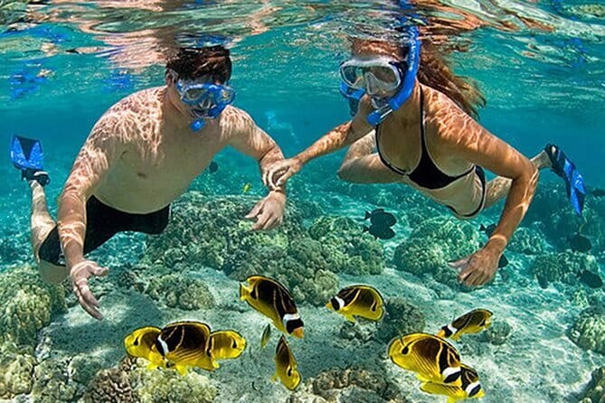 Phu Quoc: Snorkeling and Island Hopping By Speedboat with Lunch - What’s included (and what you pay for separately)