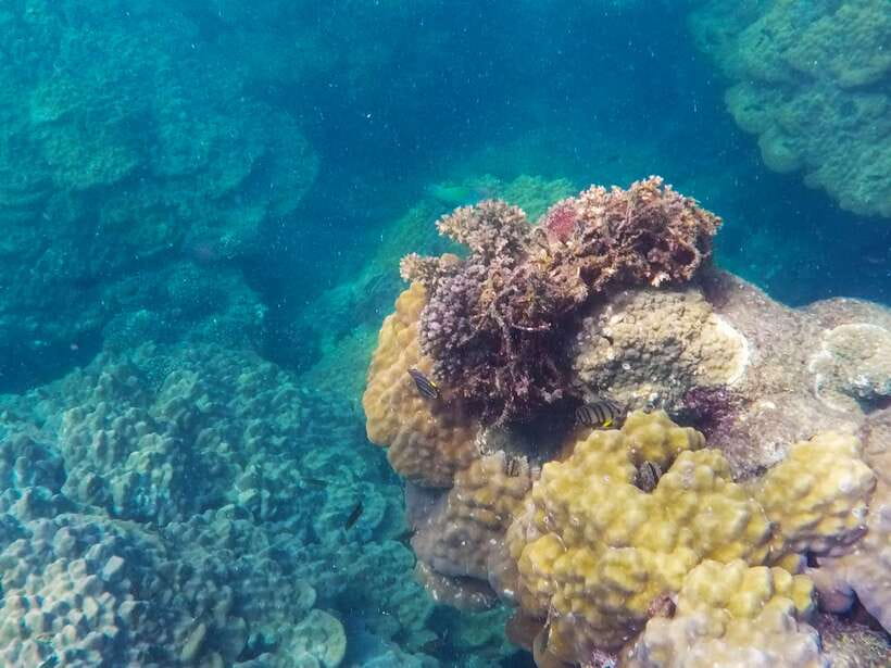Phu Quoc Speedboat Trip: 3 Islands By Speedboat - Weather Changes: The Trip Adapts, and You Should Expect That