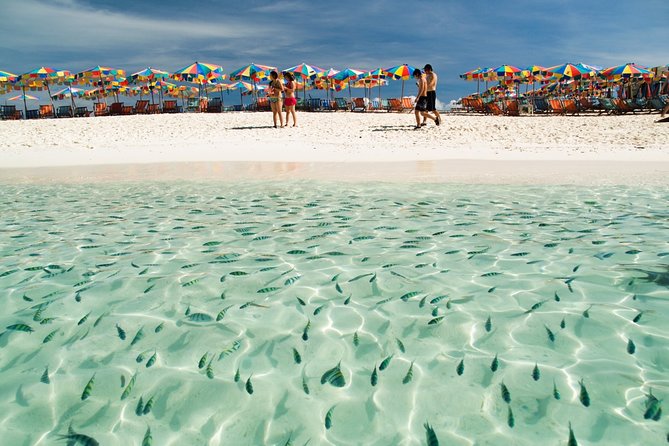 Phuket Khai Islands Half-Day Tour: White Sands & Crystal Waters - Snorkeling Setup: Gear, Fish, and the Reality of Sea Conditions
