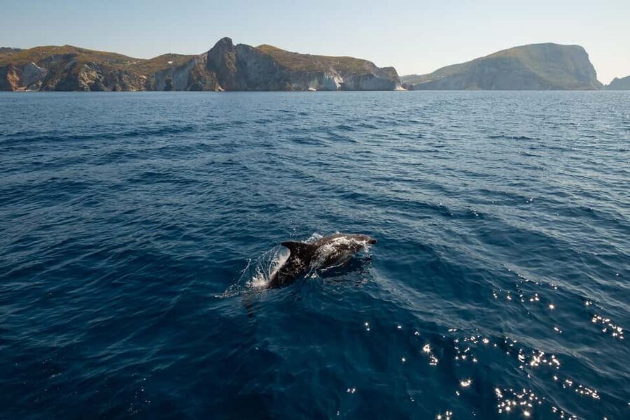 Ponza: Palmarola & Ponza Island Cruise with Swimming & Lunch - The Palmarola segment: O’ Francese beach and real swim breaks