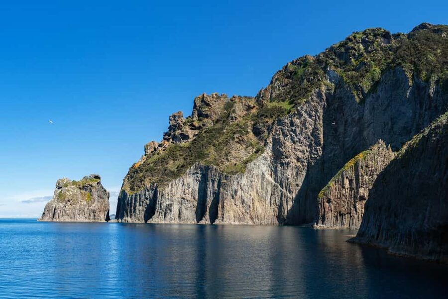 Ponza: Palmarola & Ponza Island Cruise with Swimming & Lunch - Lunch on board: what’s included and why it’s a good deal