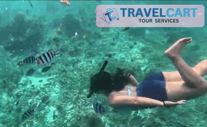 PORT BARTON: Full-day Shared Island Hopping Tour A - Turtle Sanctuary: Close-Up Turtle Viewing with a Conservation Message