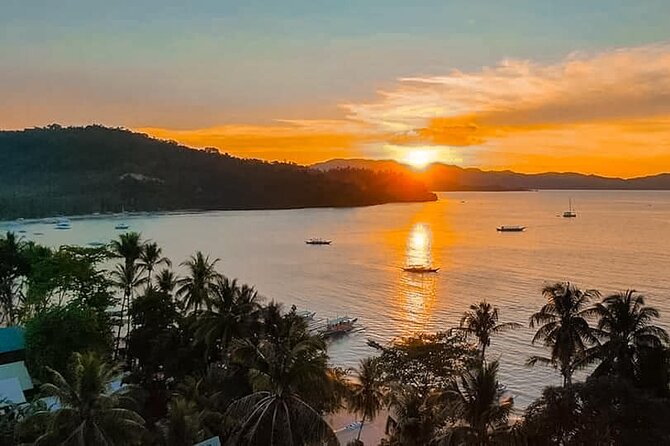 Port Barton Island Hopping from Puerto Princesa City - Getting You There by 5:00 am: Meeting Point and What to Expect