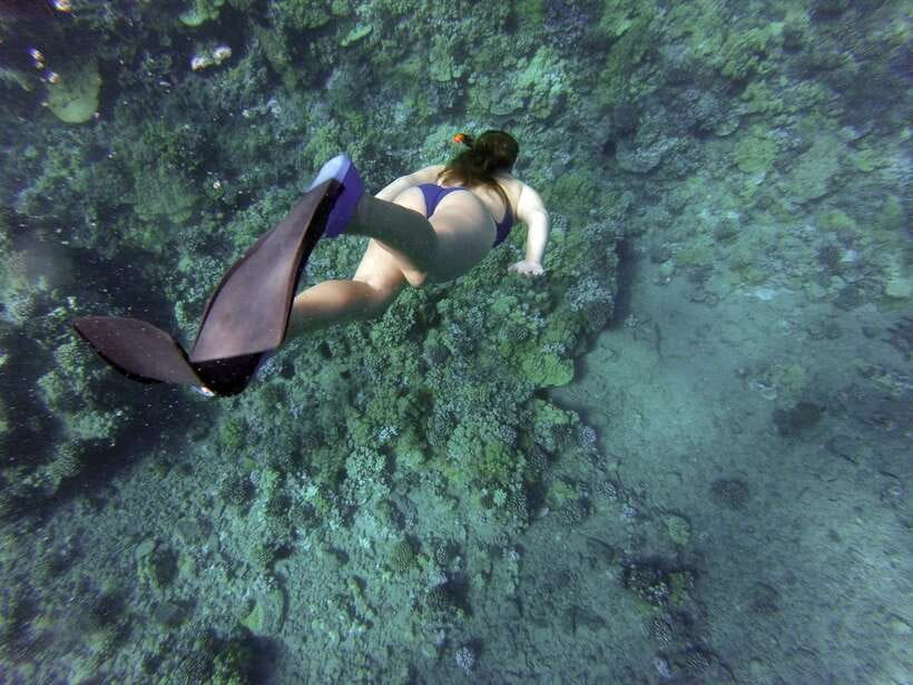 Port Barton: Island Hopping to Turtle Spot & Reef with Lunch - Key highlights at a glance