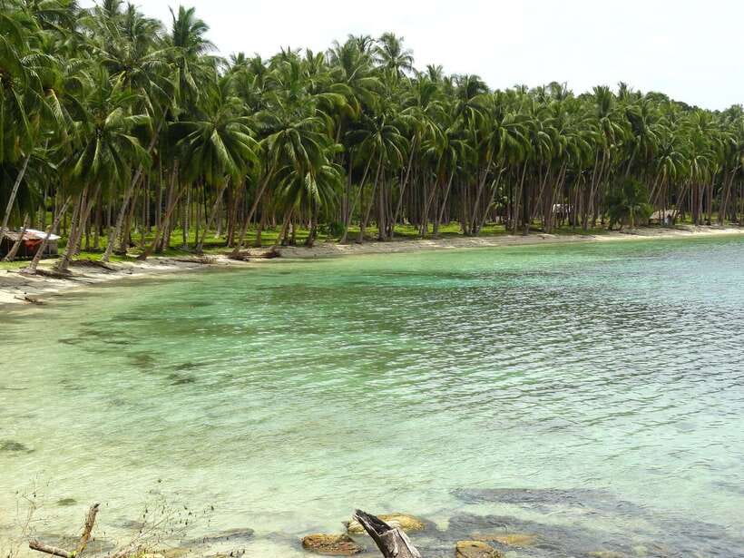 Port Barton: Island Hopping to Turtle Spot & Reef with Lunch - The BBQ Lunch on the Beach: Local Food, Good Timing, Real Fuel