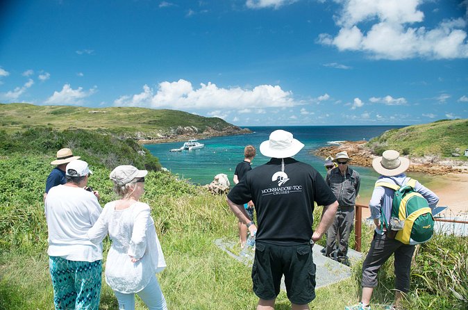 Port Stephens: Broughton Island Cruise - Guided walk on request: wildlife breeding areas and Gould Petrel talk