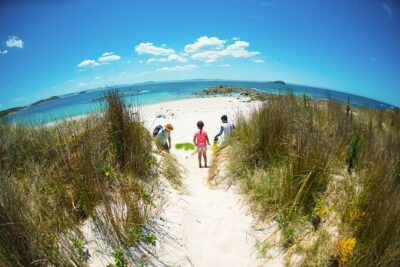 Port Stephens: Broughton Island Cruise - The offshore cruise: live commentary, scenery, and onboard breaks