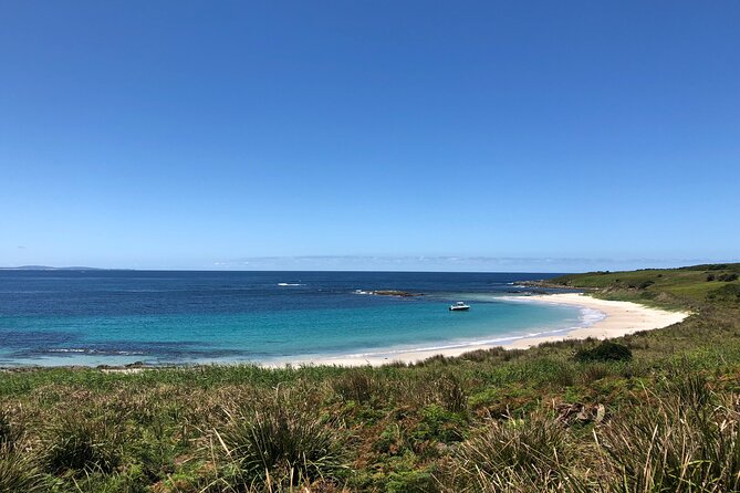 Port Stephens: Broughton Island Cruise - Return journey: boom net rides and bonus dolphin watching
