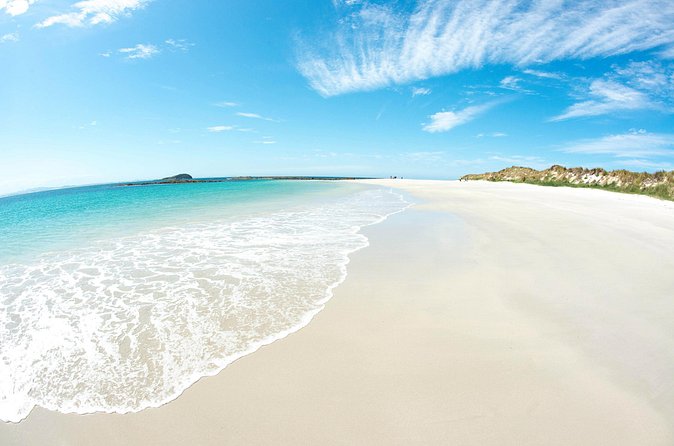Port Stephens: Broughton Island Cruise - Price and value check: what $92.52 really covers
