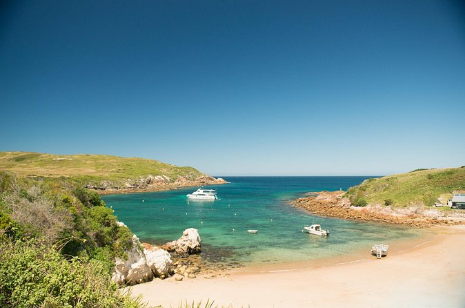 Port Stephens: Broughton Island Cruise - What to pack for a smoother day on Broughton Island