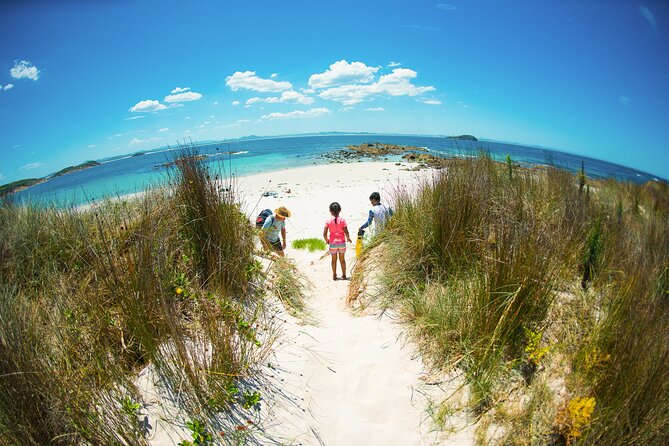 Port Stephens: Broughton Island Cruise - The offshore cruise: live commentary, scenery, and onboard breaks