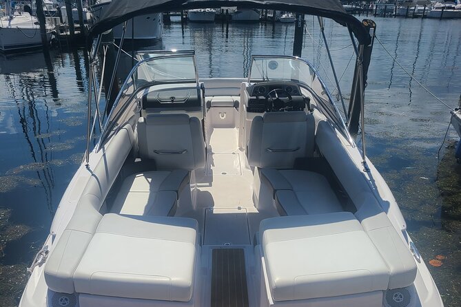 Private Boat: Island Cruise and Dolphins - Upgrades that turn a short cruise into a full day: Shell Key, Bunces Pass, Egmont Key