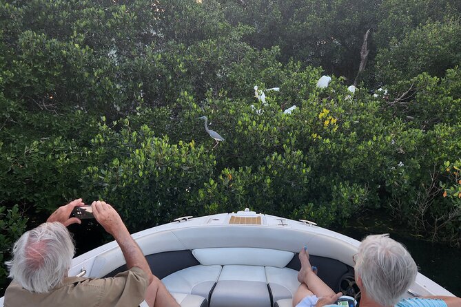Private Boat: Island Cruise and Dolphins - The captain matters: what I’m looking for in Captain Tyler and Captain Justin