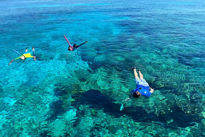 Private Boat Island Hopping & Snorkeling in Turks & Caicos 4Hrs - Cruising the Provo coast past Conch Farm: the quick history stop that doesn’t bog you down